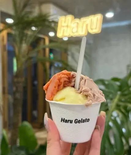 Tay cầm cốc giấy trắng in chữ Haru Gelato, ba vị kem cam, vàng và nâu, phía sau là biển đèn neon chữ Haru và cây xanh