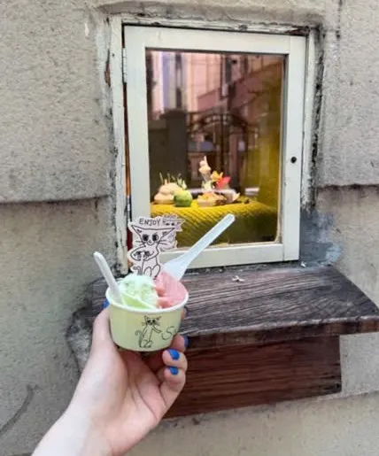 Tay cầm cốc gelato Sit! hai vị xanh và hồng, que hình mèo, trước ô cửa sổ bán kem nhỏ khung gỗ trên tường vữa cũ