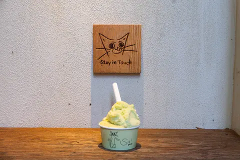 Một cốc gelato màu xanh nhạt trong ly in logo mèo Sit!, đặt trên quầy gỗ cạnh tấm biển gỗ khắc hình mèo 'Stay in Touch'