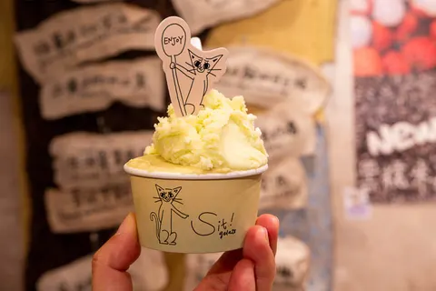Tay cầm cốc gelato Sit! có que hình mèo cắm trên mặt kem, chữ 'Enjoy' viết tay