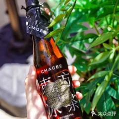 Chai trà 东方佳茗 CHAGEE đóng chai cầm cận cảnh logo thương hiệu, nền lá cây xanh